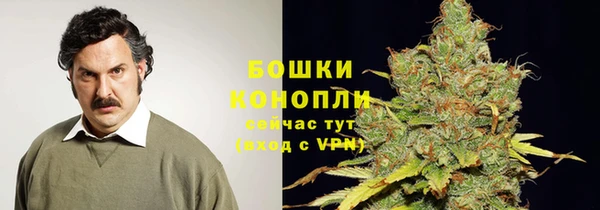 мдпв Бронницы