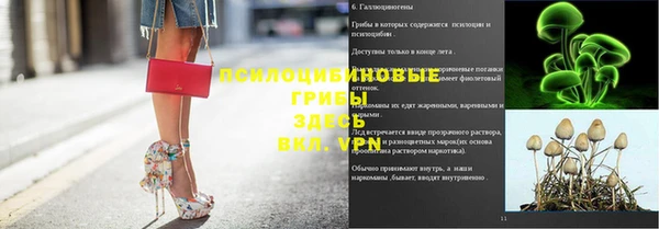 MDMA Бородино