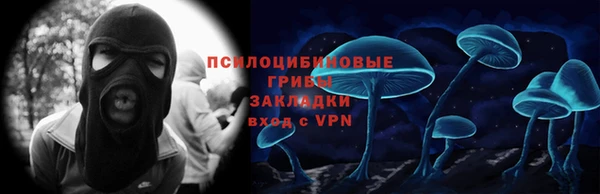 амф Богданович