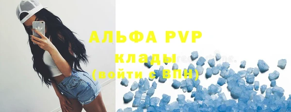 PSILOCYBIN Волоколамск