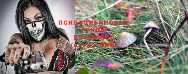 MDMA Бородино