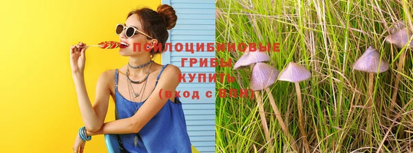 мдпв Бронницы