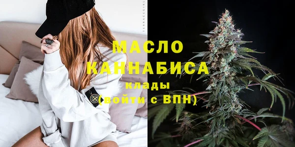 молекула духа Елабуга