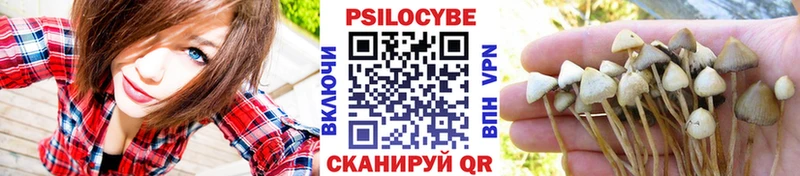 даркнет Telegram  дарнет шоп  Новохопёрск  Псилоцибиновые грибы GOLDEN TEACHER 